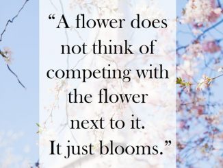 A flower does not think of competing with the flower next to it. It just blooms.