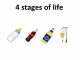 4 stages of life