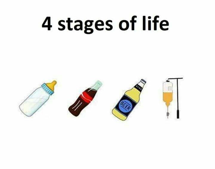 4 stages of life