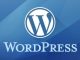 Wordpress前端快后台打开慢、卡顿的问题分析