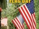 美国文化 | 美国人怎么过美国国旗日（Flag Day）？