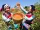 英语热词 | 我国设立中国农民丰收节 Chinese Farmers' Harvest Festival