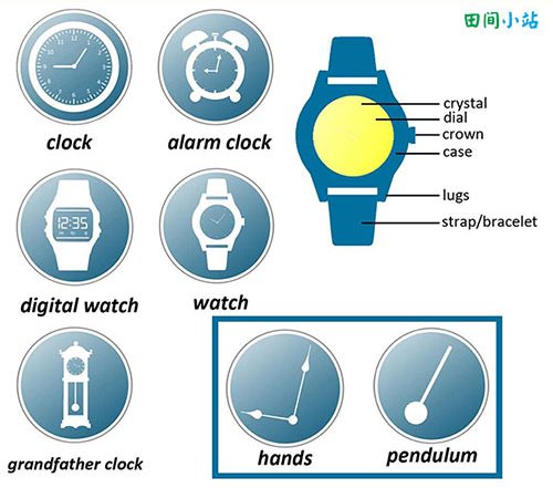 图说英语词汇 | 与钟表及其结构相关的英语词汇中英对照一览表