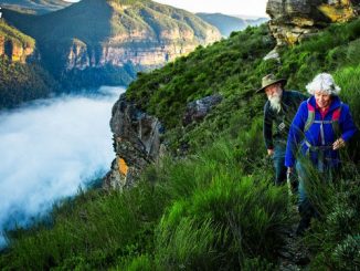 经济学人精读 | 2018年8月18日刊：Australia’s lauded private-pension system is under scrutiny