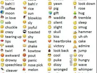 与微信相关的常用术语及表情符号中英对照翻译