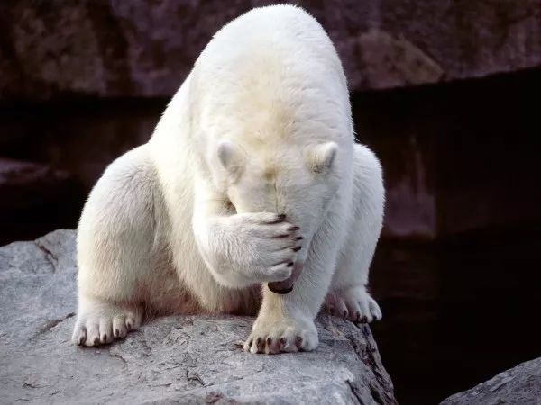 英语口语 | 没面子不是no face! 关于面子的正确英语表达