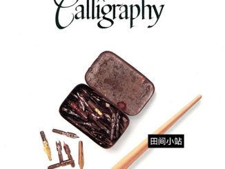 好书推荐 | The Art of Calligraphy(英文书法的艺术)PDF下载