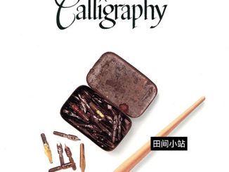 好书推荐 | The Art of Calligraphy（英文书法的艺术）PDF下载