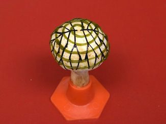 英语热词 | Bionic mushroom 仿生蘑菇