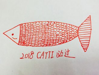 CATTI经验 | CATTI二级笔译考试经验分享