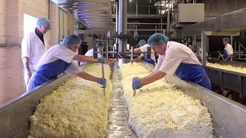 美国文化 | 不可不知的美国奶酪文化（Cheese）