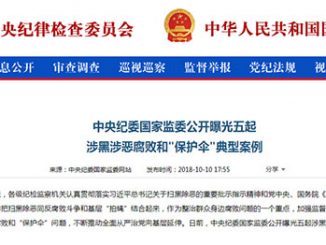 英语热词 | 保护伞 protective umbrella