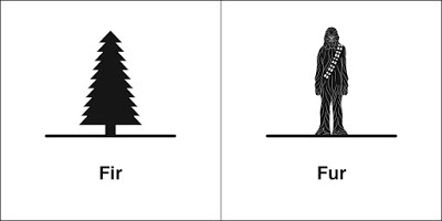 同音异义 | fir & fur