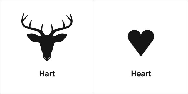 同音异义 | Hart & Heart