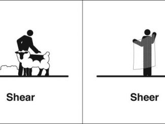 同音异义 | Shear & Sheer