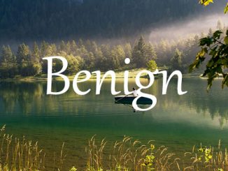 小词详解 | benign