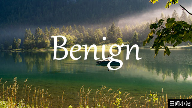 小词详解 | benign