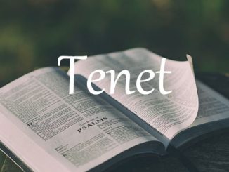 小词详解 | tenet