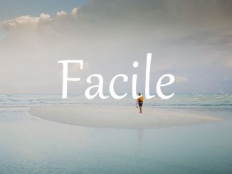 小词详解 | facile