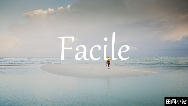 小词详解 | facile