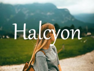 小词详解 | halcyon