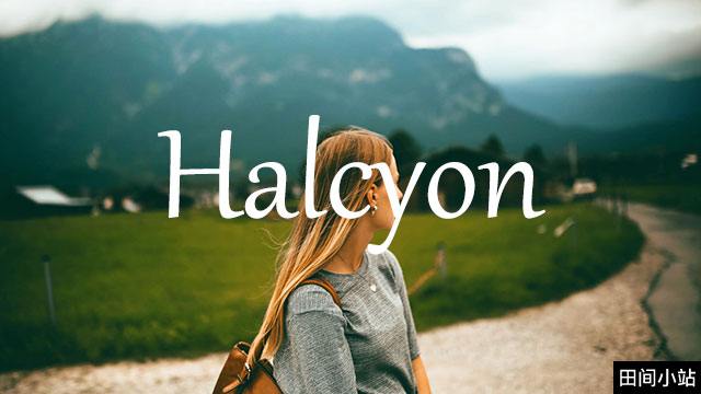 小词详解 | halcyon