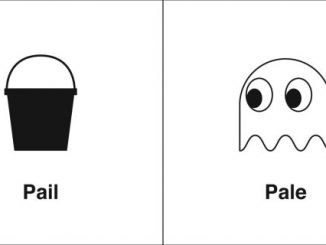 同音异义 | Pail & Pale