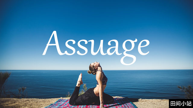 小词详解 | assuage