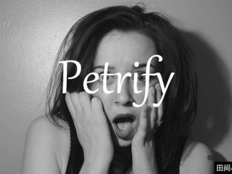 小词详解 | petrify 