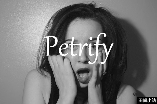 小词详解 | petrify 