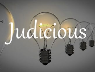 小词详解 | judicious