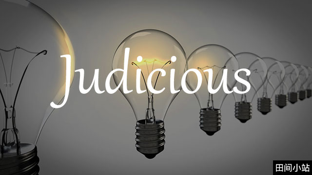 小词详解 | judicious