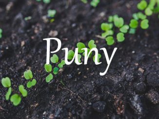 小词详解 | puny