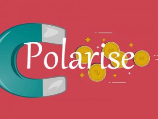 polarise 英 [ˈpəʊləraɪz] 美 [ˈpoʊləraɪz]