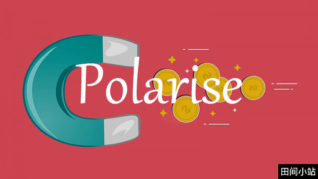 polarise 英 [ˈpəʊləraɪz] 美 [ˈpoʊləraɪz]