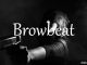 小词详解 | browbeat