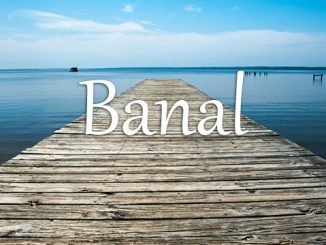 小词详解 | banal