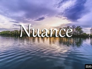 小词详解 | nuance