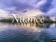 小词详解 | nuance