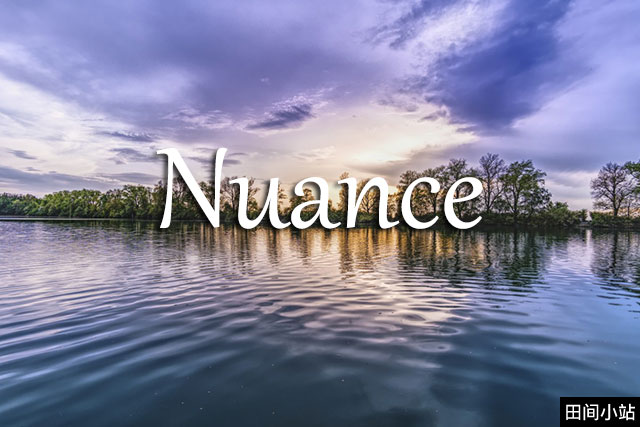 小词详解 | nuance