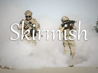 小词详解 | skirmish