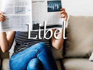 小词详解 | libel