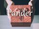 小词详解 | pander