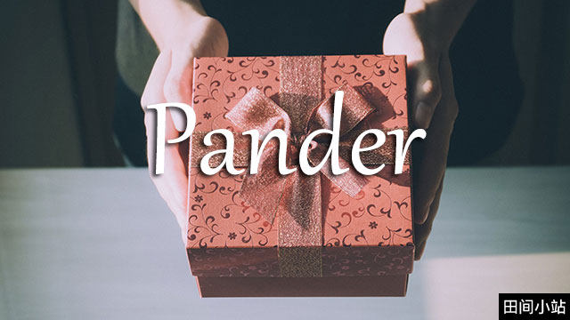 小词详解 | pander