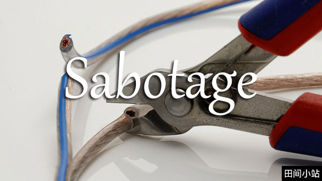 小词详解 | sabotage