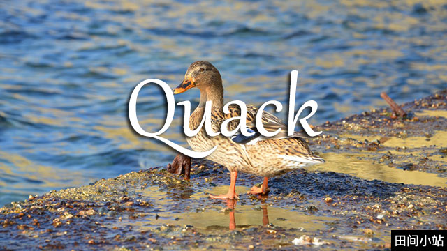 小词详解 | quack