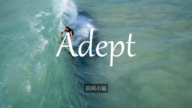 小词详解 | adept