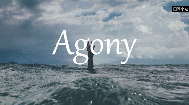 小词详解 | agony