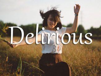 小词详解 | delirious