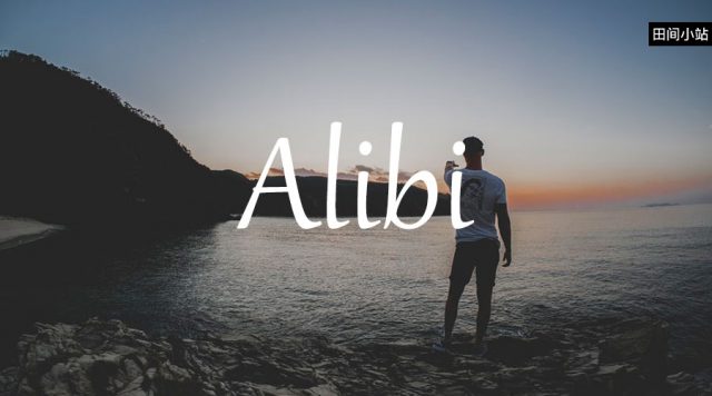 小词详解 | alibi